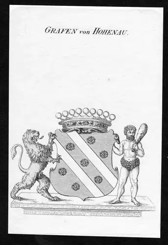 Grafen von Hohenau - Hohenau Wappen Adel coat of arms Kupferstich  heraldry Heraldik