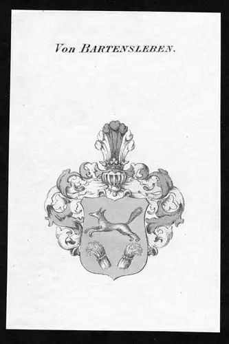 Von Bartensleben - Bartensleben Wappen Adel coat of arms Kupferstich  heraldry Heraldik