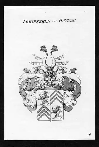 Freiherren von Haynau - Haynau Wappen Adel coat of arms Kupferstich  heraldry Heraldik