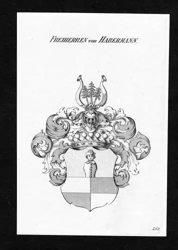 Freiherren von Habermann - Habermann Wappen Adel coat of arms Kupferstich  heraldry Heraldik