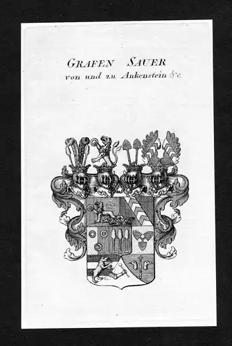 Grafen Sauer von und zu Ankenstein - Sauer Wappen Adel coat of arms Kupferstich  heraldry Heraldik