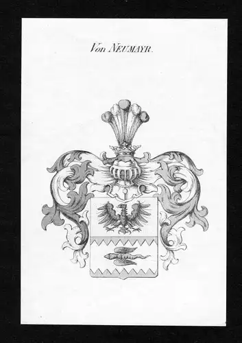 Von Neumayr - Neumayr Wappen Adel coat of arms Kupferstich  heraldry Heraldik