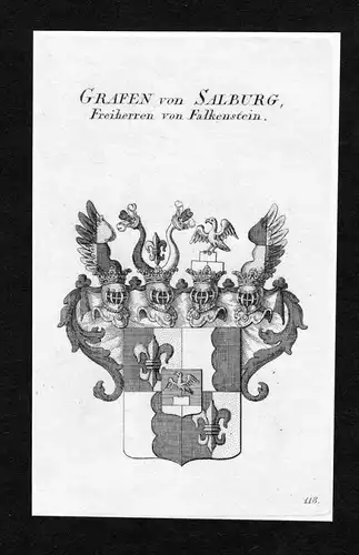 Grafen von Salburg, Freiherren von Falkenstein - Salburg Falkenstein Wappen Adel coat of arms Kupferstich  her