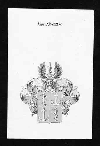 Von Fischer  - Fischer Wappen Adel coat of arms Kupferstich  heraldry Heraldik