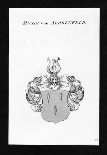 Mosig von Aehrenfeld - Mosig von Aehrenfeld Wappen Adel coat of arms Kupferstich  heraldry Heraldik