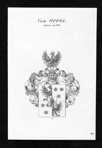 Von Oppel - Oppel Wappen Adel coat of arms Kupferstich  heraldry Heraldik