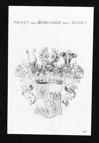 Grafen von Königsacker und Neuhaus - Königsacker Koenigsacker und Neuhaus Wappen Adel coat of arms Kupfersti