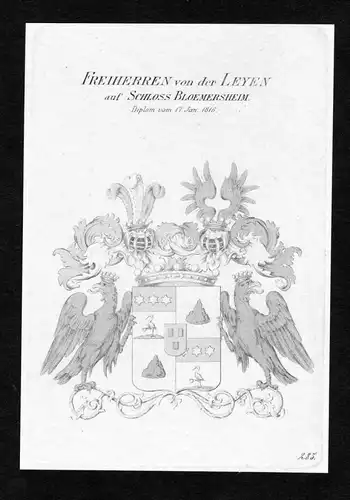 Freiherren von der Leyen auf Schloss Bloemersheim - Leyen zu Bloemersheim Wappen Adel coat of arms Kupferstich