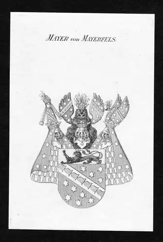 Mayer von Mayerfels - Mayer von Mayerfels Wappen Adel coat of arms Kupferstich  heraldry Heraldik