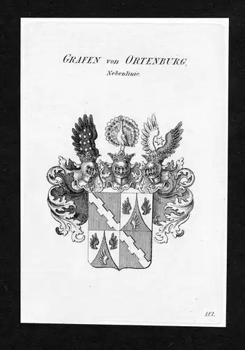 Grafen von Ortenburg - Nebenlinie - Ortenburg Wappen Adel coat of arms Kupferstich  heraldry Heraldik