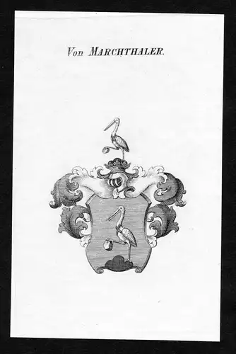 Von Marchthaler - Marchthaler Wappen Adel coat of arms Kupferstich  heraldry Heraldik