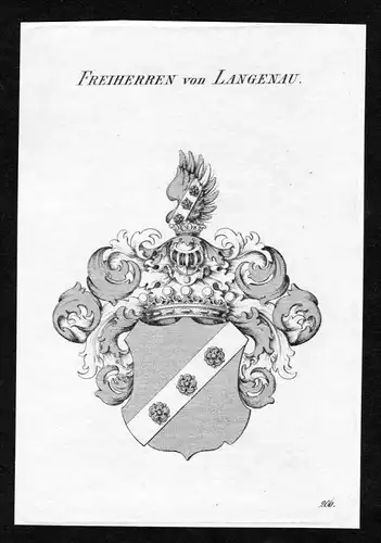 Freiherren von Langenau - Langenau Wappen Adel coat of arms Kupferstich  heraldry Heraldik