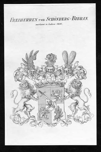 Freiherren von Schönberg-Bibran - Schönberg Schoenberg Bibran Wappen Adel coat of arms Kupferstich  heraldry