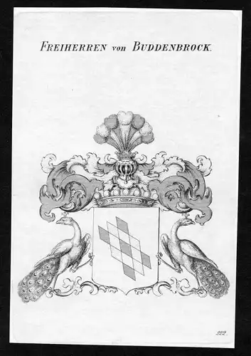 Freiherren von Buddenbrock - Buddenbrock Wappen Adel coat of arms Kupferstich  heraldry Heraldik