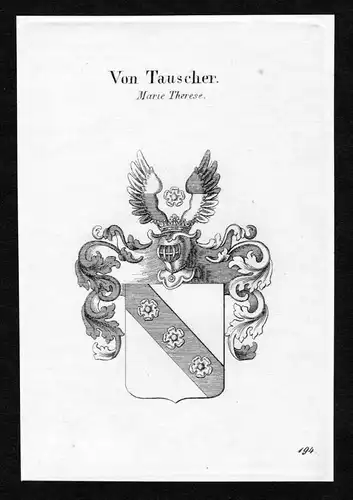 Von Tauscher - Tauscher Wappen Adel coat of arms Kupferstich  heraldry Heraldik