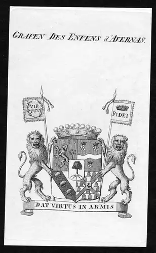 Grafen des Enfens d'Avernas - Enffans d'Avernas Wappen Adel coat of arms Kupferstich  heraldry Heraldik