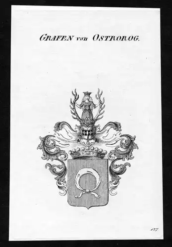 Grafen von Ostrorog - Ostrorog Wappen Adel coat of arms Kupferstich  heraldry Heraldik