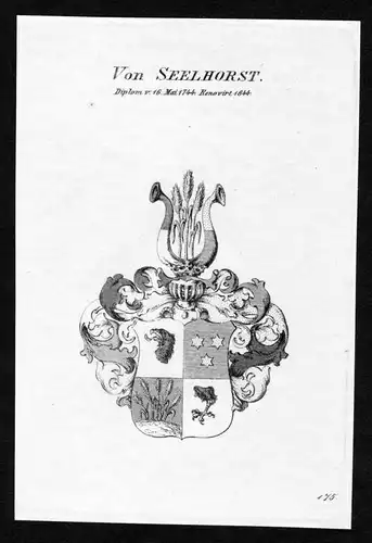 Von Seelhorst - Seelhorst Wappen Adel coat of arms Kupferstich  heraldry Heraldik
