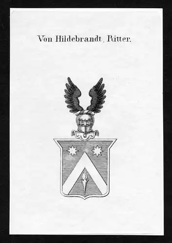 Von Hildebrandt, Ritter - Hildebrandt Wappen Adel coat of arms Kupferstich  heraldry Heraldik