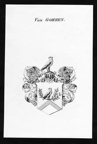Von Gohren - Gohren Wappen Adel coat of arms Kupferstich  heraldry Heraldik