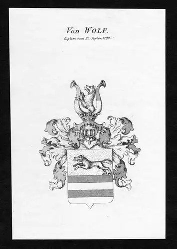 Von Wolf - Wolf Wappen Adel coat of arms Kupferstich  heraldry Heraldik