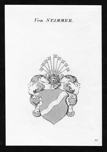 Von Stammer - Stammer Wappen Adel coat of arms Kupferstich  heraldry Heraldik