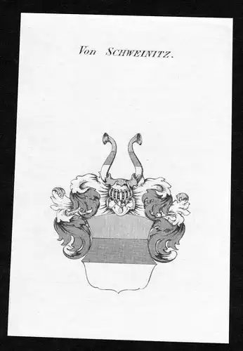 Von Schweinitz - Schweinitz Wappen Adel coat of arms Kupferstich  heraldry Heraldik