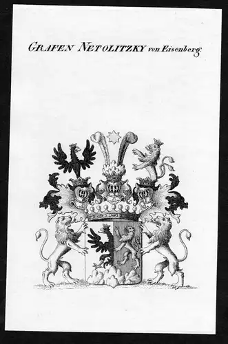 Grafen Netolitzky von Eisenberg - Netolitzky von Eisenberg Wappen Adel coat of arms Kupferstich  heraldry Hera