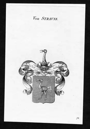 Von Strauss - Strauss Strauß Wappen Adel coat of arms Kupferstich  heraldry Heraldik