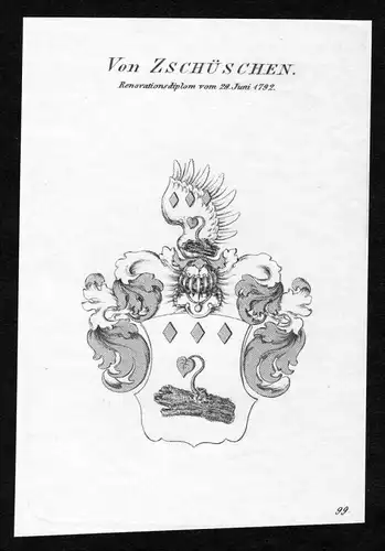 Von Zschüschen - Zschüschen Zschueschen Wappen Adel coat of arms Kupferstich  heraldry Heraldik