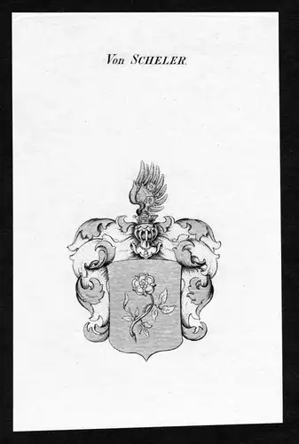 Von Scheler - Scheler Wappen Adel coat of arms Kupferstich  heraldry Heraldik