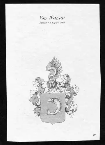 Von Wolff - Wolff Wappen Adel coat of arms Kupferstich  heraldry Heraldik
