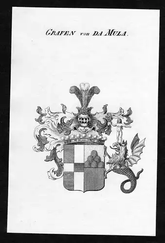 Grafen von Da Mula - Da-Mula Wappen Adel coat of arms Kupferstich  heraldry Heraldik