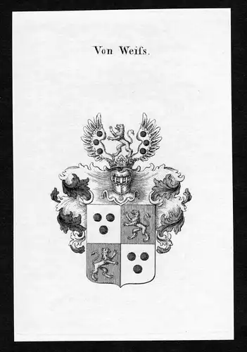 Von Weifs - Weifs Wappen Adel coat of arms Kupferstich  heraldry Heraldik
