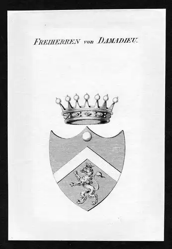 Freiherren von Damadieu - Damadieu Wappen Adel coat of arms Kupferstich  heraldry Heraldik