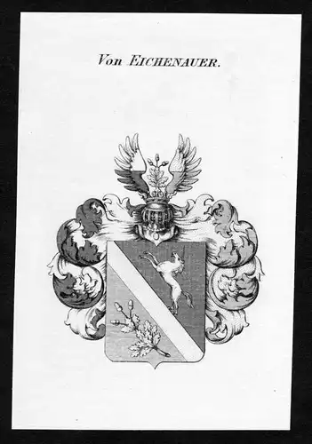 Von Eichenauer - Eichenauer Wappen Adel coat of arms Kupferstich  heraldry Heraldik
