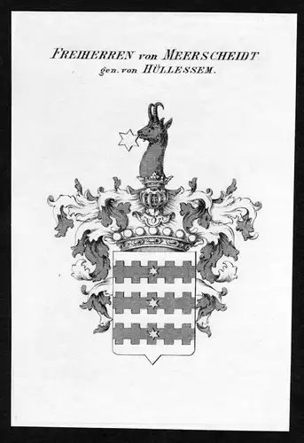 Freiherren von Meerscheidt gen. von Hüllessem - Meerscheidt-Hüllessem Meerscheidt-Huellessem Wappen Adel coa
