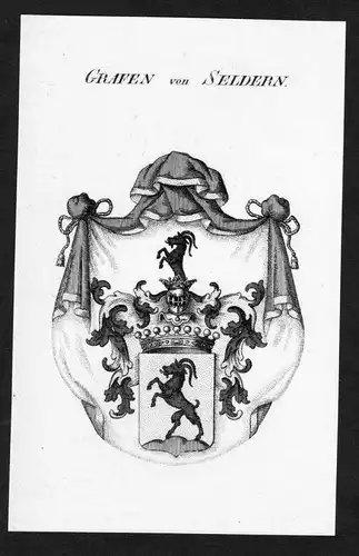 Grafen von Seldern - Seldern Wappen Adel coat of arms Kupferstich  heraldry Heraldik