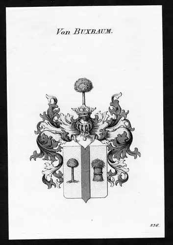 Von Buxbaum - Buxbaum Wappen Adel coat of arms Kupferstich  heraldry Heraldik