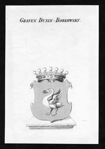 Grafen Dunin-Borkowsky - Dunin-Borkowski Wappen Adel coat of arms Kupferstich  heraldry Heraldik