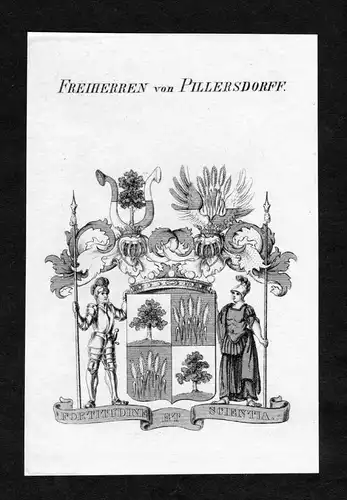 Freiherren von Pillersdorff - Pillersdorf Pillerstorf Pillerstorff Wappen Adel coat of arms Kupferstich  heral