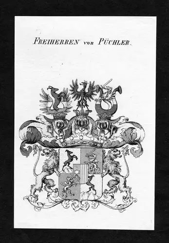 Freiherren von Püchler - Püchler Puechler Wappen Adel coat of arms Kupferstich  heraldry Heraldik