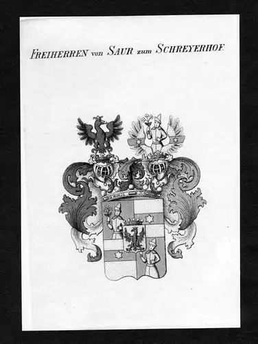 Freiherren von Saur zum Schreyerhof - Saur zu Schreyerhof Wappen Adel coat of arms Kupferstich  heraldry Heral