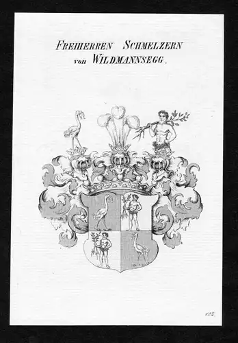 Freiherren Schmelzern von Wildmannsegg - Schmelzern von Wildmannsegg Wappen Adel coat of arms Kupferstich  her