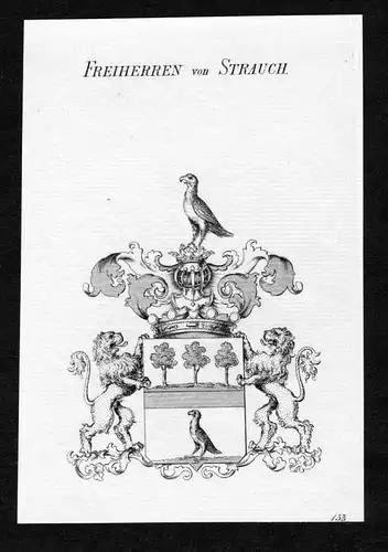 Freiherren von Strauch - Strauch Wappen Adel coat of arms Kupferstich  heraldry Heraldik