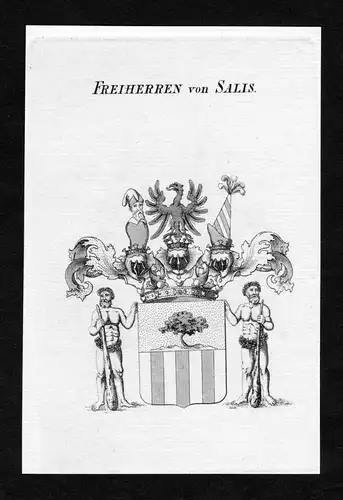 Freiherren von Salis - Salis Wappen Adel coat of arms Kupferstich  heraldry Heraldik