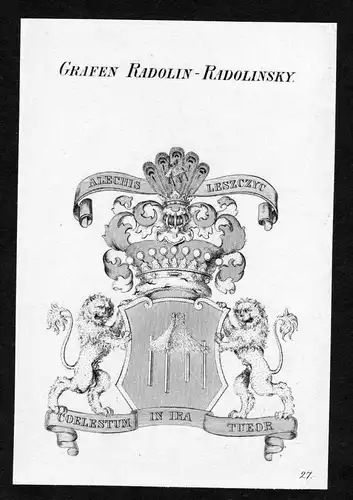 Grafen Radolin-Radolinsky - Radolin-Radolinski Wappen Adel coat of arms Kupferstich  heraldry Heraldik