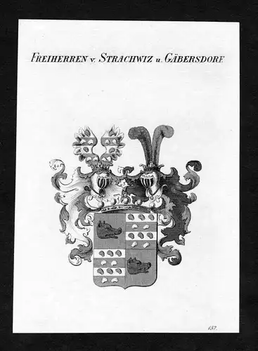 Freiherren v. Strachwiz u. Gäbersdorf - Strachwitz zu Gäbersdorf Wappen Adel coat of arms Kupferstich  heral