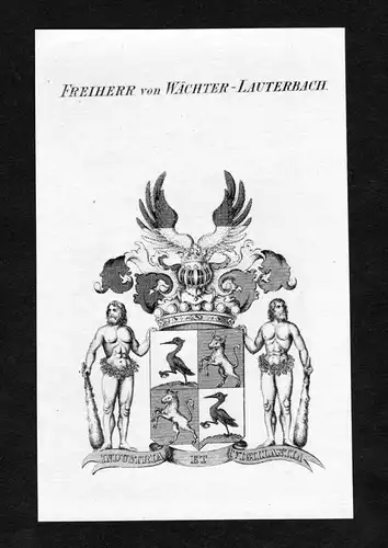Freiherr von Wächter-Lauterbach - Wächter-Lauterbach Waechter-Lauterbach Wappen Adel coat of arms Kupferstic
