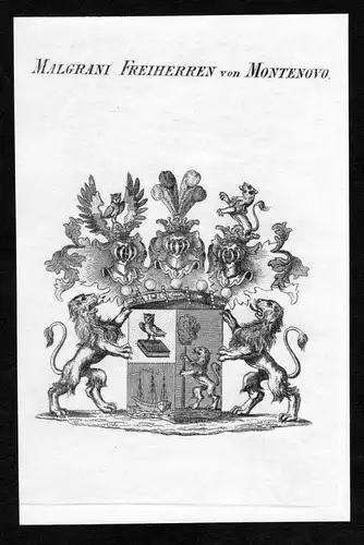 Malgrani Freiherren von Montenovo - Malgrani von Montenovo Wappen Adel coat of arms Kupferstich  heraldry Hera
